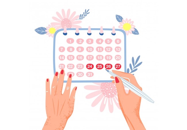 MENSTRUASYON DÖNGÜ SIRASINDA HORMONLARIN İŞTAH YÖNETİMİ ÜZERİNE ETKİSİ