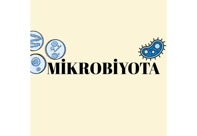 MİKROBİYOTA DOSTU BESLENME!