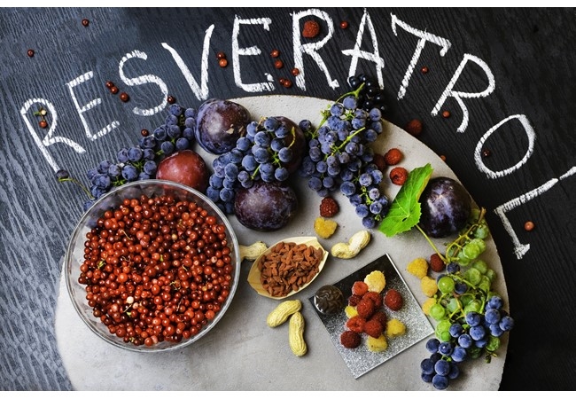 Resveratrol Hakkında Her Şey
