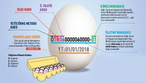 YUMURTALARIN ÜZERİNDEKİ KODLAR NE ANLAMA GELİR?